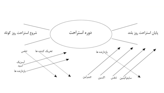 نیاز سرمایی و اهمیت آن در درختان میوه